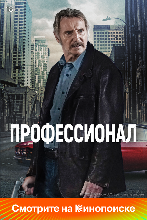 Профессионал - постер фильма